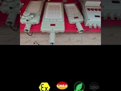 CRI Ra≥80 Lampu Sorot LED Tahan Ledakan untuk Lingkungan Berbahaya 50-300 Watt