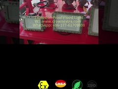 CRI Ra≥80 Lampu Sorot LED Tahan Ledakan untuk Lingkungan Berbahaya 50-300 Watt