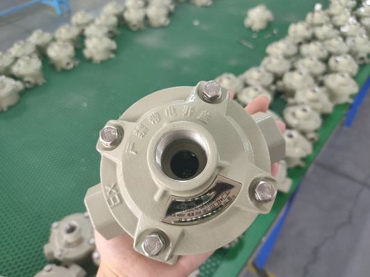 Kabel Spesifikasi 9mm 13mm Ledakan Proof Switch Marine Grade Aluminium 10A Current Industrial Control Switch Untuk Area Berbahaya