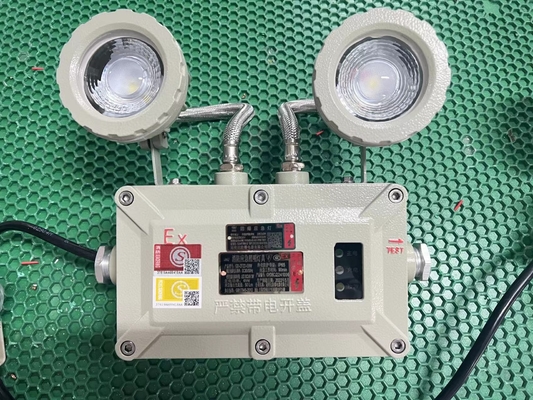 Lampu Darurat LED Tahan Api 2x3W – 90lm/W, Berperingkat IP66 untuk Area Berbahaya