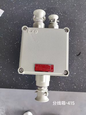 Explosion Proof Junction Box | Wall-Mounted Flameproof Electrical Enclosure for Hazardous Areas