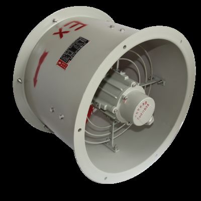 Hazardous Zone1 Division1 Blast Proof Air Circulator Optimized for T1 T4 Environment Safe Industrial Air Circulation Fan