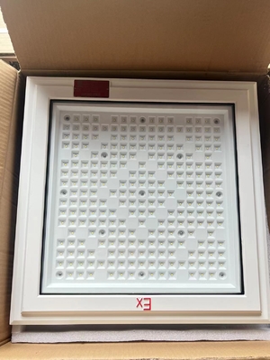 ATEX 18*18 Inch Square Shape Explosion Proof Light 100w 130lm/w Lampu Stasiun Bensin Dengan Garansi Lima Tahun
