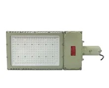 50W Ex Proof LED Flood Light dengan kecerahan dan berbagai pilihan pemasangan