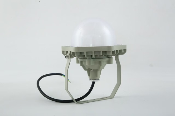 100W Ledakan Proof High Bay Light AC220V 50/60Hz IP66 dengan 70±2CRI Desain Baru Produk Terlaris Harga Lokakarya