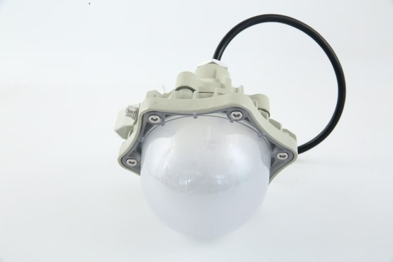 100W Ledakan Proof High Bay Light AC220V 50/60Hz IP66 dengan 70±2CRI Desain Baru Produk Terlaris Harga Lokakarya