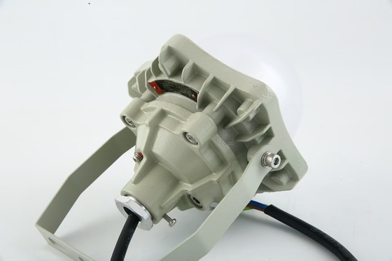 100W Ledakan Proof High Bay Light AC220V 50/60Hz IP66 dengan 70±2CRI Desain Baru Produk Terlaris Harga Lokakarya