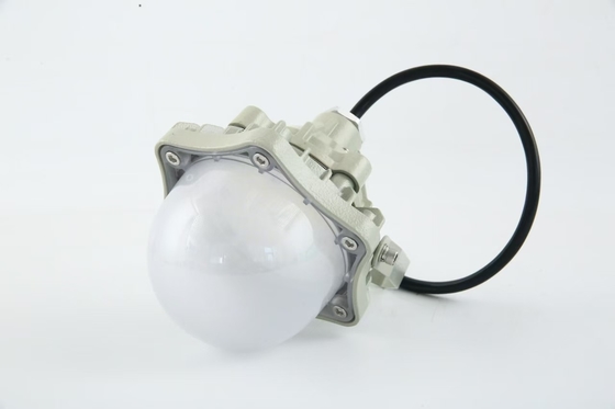 100W Ledakan Proof High Bay Light AC220V 50/60Hz IP66 dengan 70±2CRI Desain Baru Produk Terlaris Harga Lokakarya