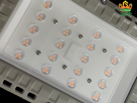 140lm/w Power LED Safety Lighting Fixture Untuk Gas Oil Petrochemical Plant Dan Situs Pertambangan