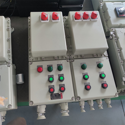 Panel kontrol tahan api tahan ledakan IP66 WF2 dengan akses kabel khusus bersertifikat ATEX