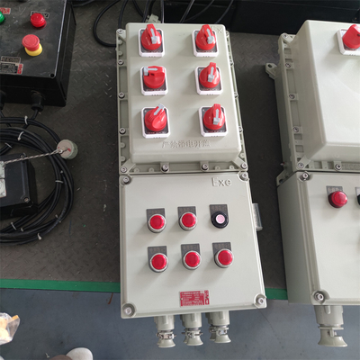Panel kontrol tahan api tahan ledakan IP66 WF2 dengan akses kabel khusus bersertifikat ATEX
