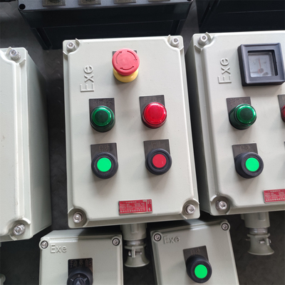 Papan kontrol tahan api dengan perlindungan IP66/WF2 untuk lingkungan berbahaya