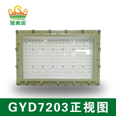 AC100-277V tegangan 250w dan tingkat perlindungan IP66 led lampu banjir tahan led untuk gas bumi dan daerah industri
