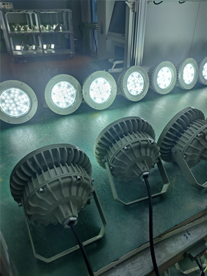 Ex Proof High bay Light 180lm/w ATEX Korosi tahan IP66 Led Lampu Langit-langit Luar 50W-250W
