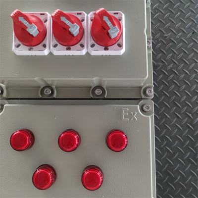 Panel kontrol tahan api bersertifikat ATEX CNEX untuk pabrik cat Marine EPC Company