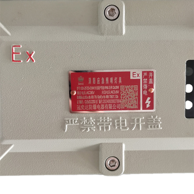 Lampu darurat tahan ledakan bersertifikat ATEX