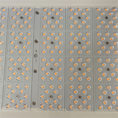 ATEX Aluminium IP66 LED Led Led Led Led Led Led Led Led Led Led Led Led Led Led Led Led Led Led Led Led Led Led Led Led Led Led Led Led Led Led Led Led Led Led Led Led Led Led Led Led Led Led Led Led Led Led