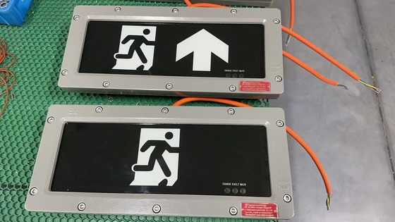 Lampu Keluar Tahan Ledakan Tegangan Tinggi | Lampu Penanda Darurat OEM 90-300VAC/24VDC/36VDC | Disetujui ATEX IECEx