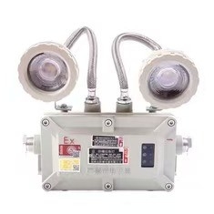 Lampu darurat tahan ledakan 2*3Watt LED 220VAC 24/36VDC Untuk Zona 1 2