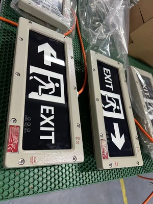 Lampu Keluar Tahan Ledakan Tegangan Tinggi | Lampu Penanda Darurat OEM 90-300VAC/24VDC/36VDC | Disetujui ATEX IECEx