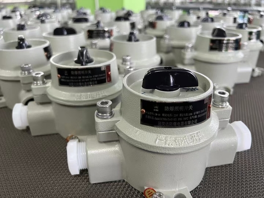 Corrosion Resistant Explosion Proof Switch dengan IP66 Protection Level Untuk 9-13mm Cable Entry