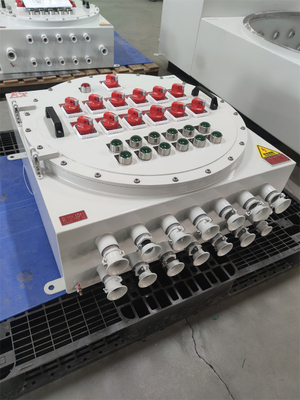 110VAC Ex Proof Flameproof Panel kontrol Papan distribusi Pemasangan dinding Disesuaikan