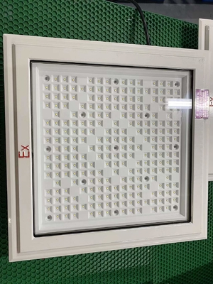 Led Lampu Banjir Buktinya Led Lampu Banjir Buktinya CREE Dan 50-240Watt Kategori