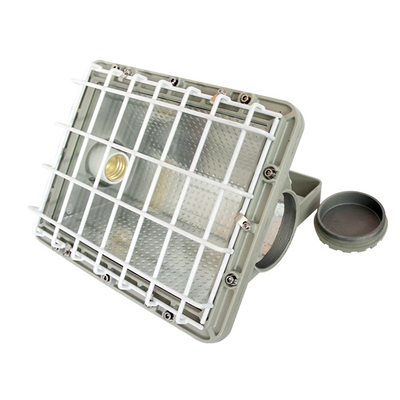 Perlindungan IP66 WF2 yang ditampilkan dalam lampu sorot LED yang aman secara intrinsik dengan manik-manik lampu CREE