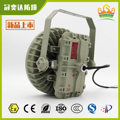 Lampu LED Tahan Ledakan IP66 ATEX IECEx | Pencahayaan Anti-Ledakan, Anti-Debu, Tahan Kelembaban untuk Lapangan Minyak & Gas, Pabrik Cat, Terowongan Pertambangan, dan Pembangkit Listrik