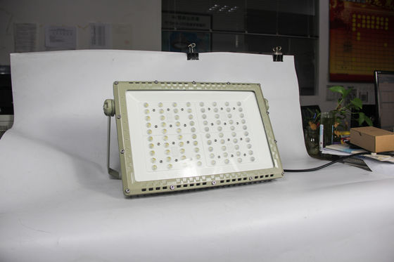 Lampu Jalan LED Tahan Api IECEx 250W | Pencahayaan Tahan Ledakan untuk Situs Minyak, Gas & Kimia