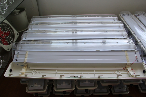 ATEX/IECEx/CNEX Disetujui Area Berbahaya Lampu LED, IP66 Rating, Garansi 5 Tahun, Daya Wattage dan Ukuran Disesuaikan Daya tahan BYS Seri Led Lampu Linier Proof Led dengan Sertifikasi Tiga