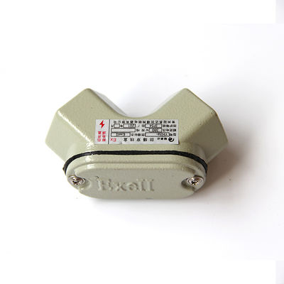 Kotak Sambungan Tahan Ledakan Pemasangan Dinding dengan Entri Kabel G1/2 Tahan Debu WF2 Pemasangan Dinding dan Dipasang di Dinding