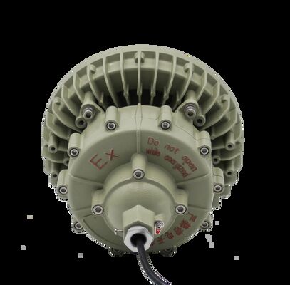 Lampu LED Tahan Ledakan ATEX 100W 150W 130Lm/W Harga Terbaik Lampu High Bay Lampu SPBU untuk Area Berbahaya