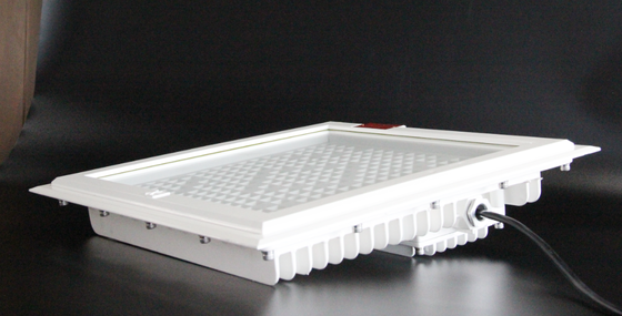 Lampu Sorot LED Tahan Ledakan Kecerahan Tinggi 100-250W, Suhu Warna Maksimum 5700K, Garansi Layanan 5 Tahun untuk Zona Berbahaya SPBU