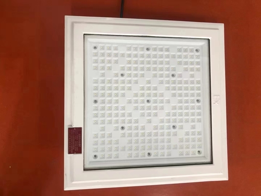 ATEX 18*18 Inch Square Shape Explosion Proof Light 100w 130lm/w Lampu Stasiun Bensin Dengan Garansi Lima Tahun
