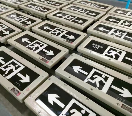 Ra≥70 5000K IP66 Lampu darurat tahan ledakan